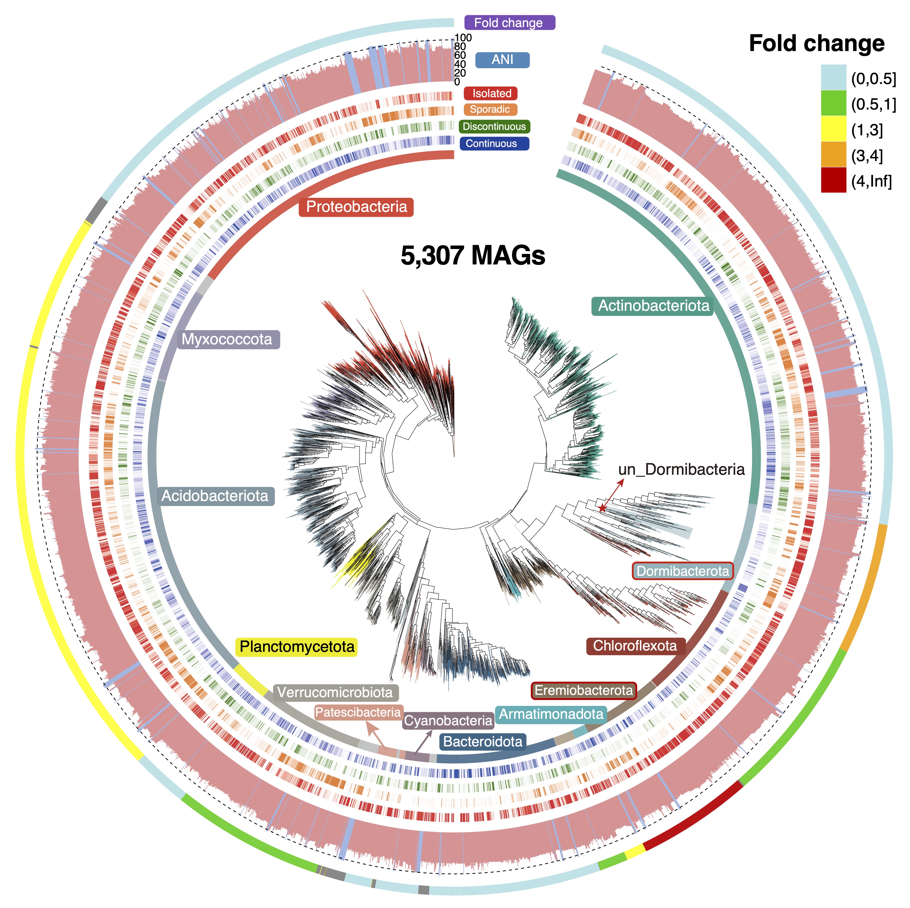 Phylogenetic tree of Greenlandic MAGs
