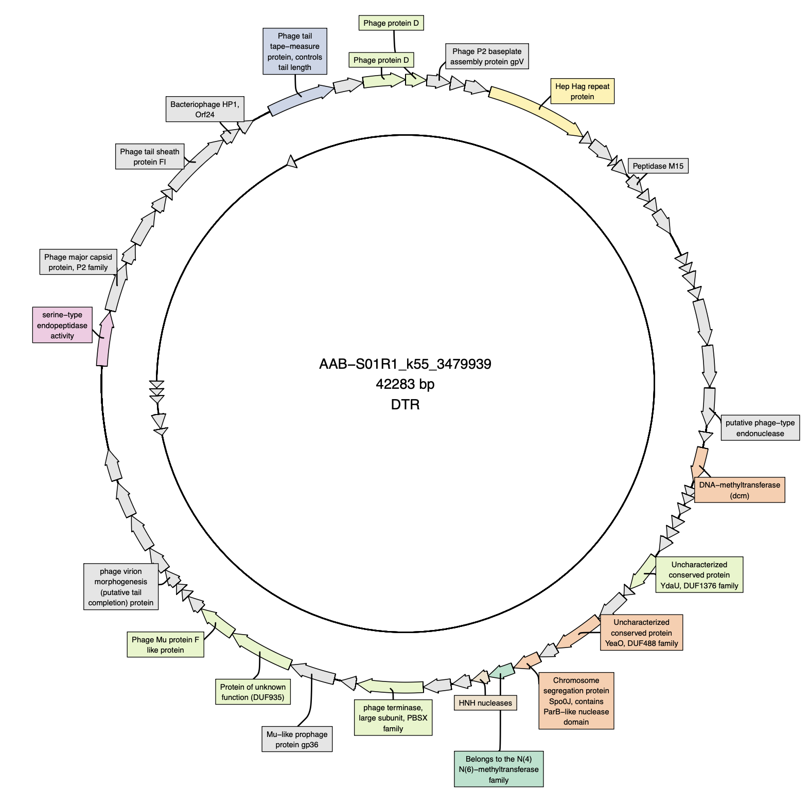 Viral genome size distribution