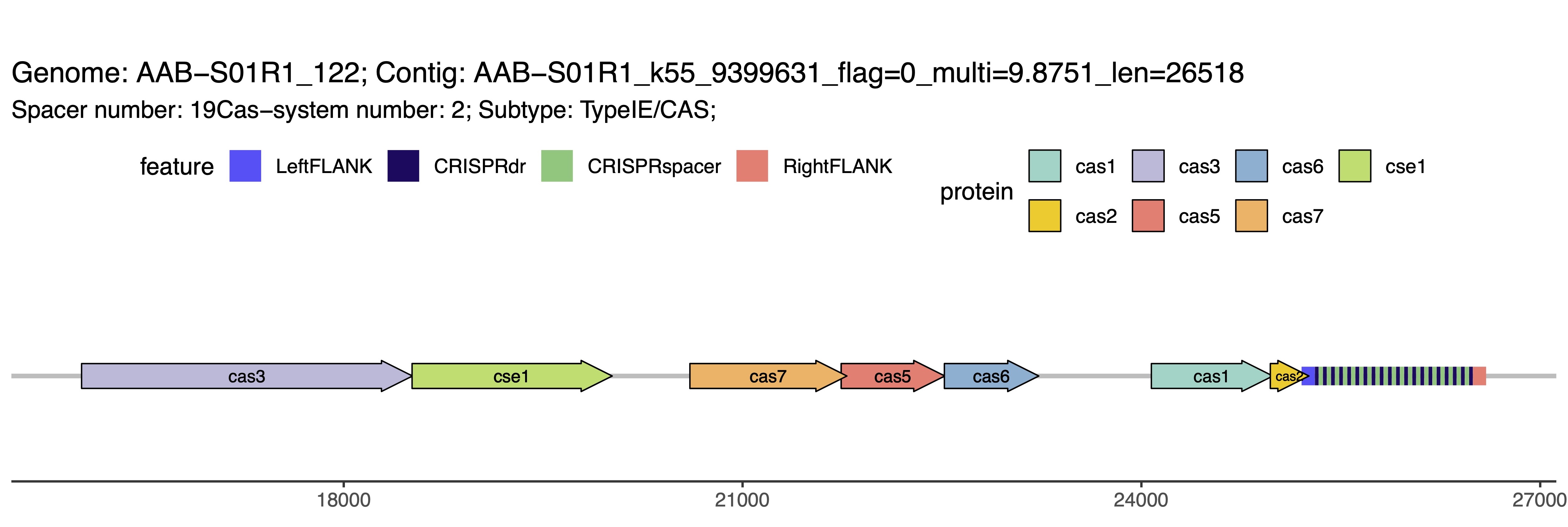 Phylogenetic tree of Greenlandic MAGs